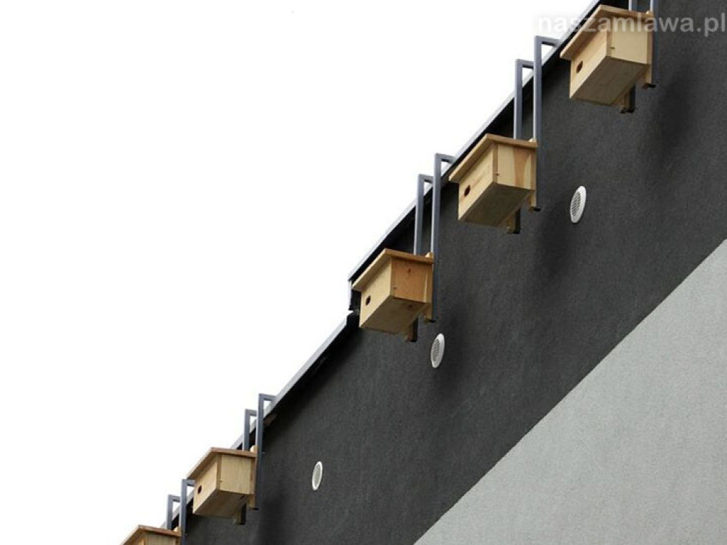 Parkowe budki dla ptaków w stanie rozpadu