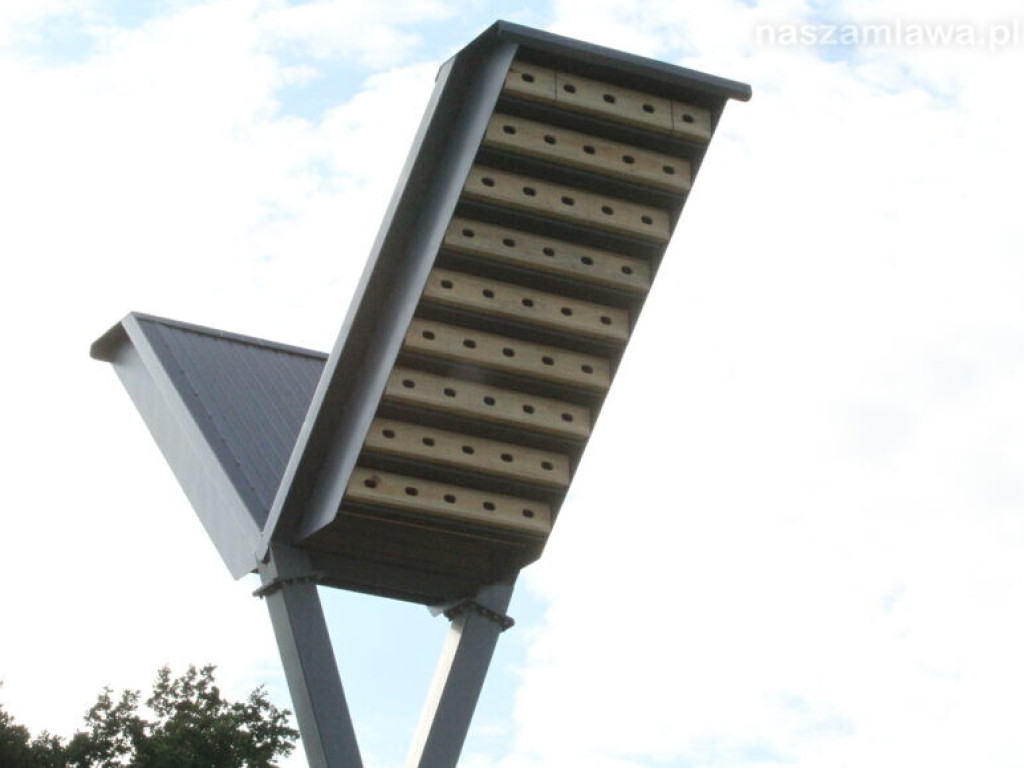 Parkowe budki dla ptaków w stanie rozpadu