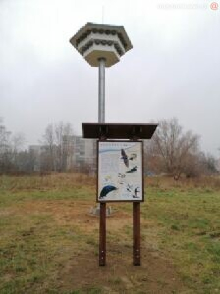 Parkowe budki dla ptaków w stanie rozpadu