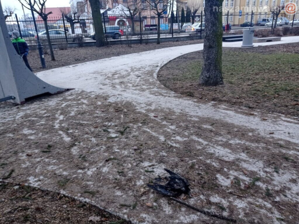 W takich warunkach bawią się dzieci [DRASTYCZNE ZDJĘCIA]