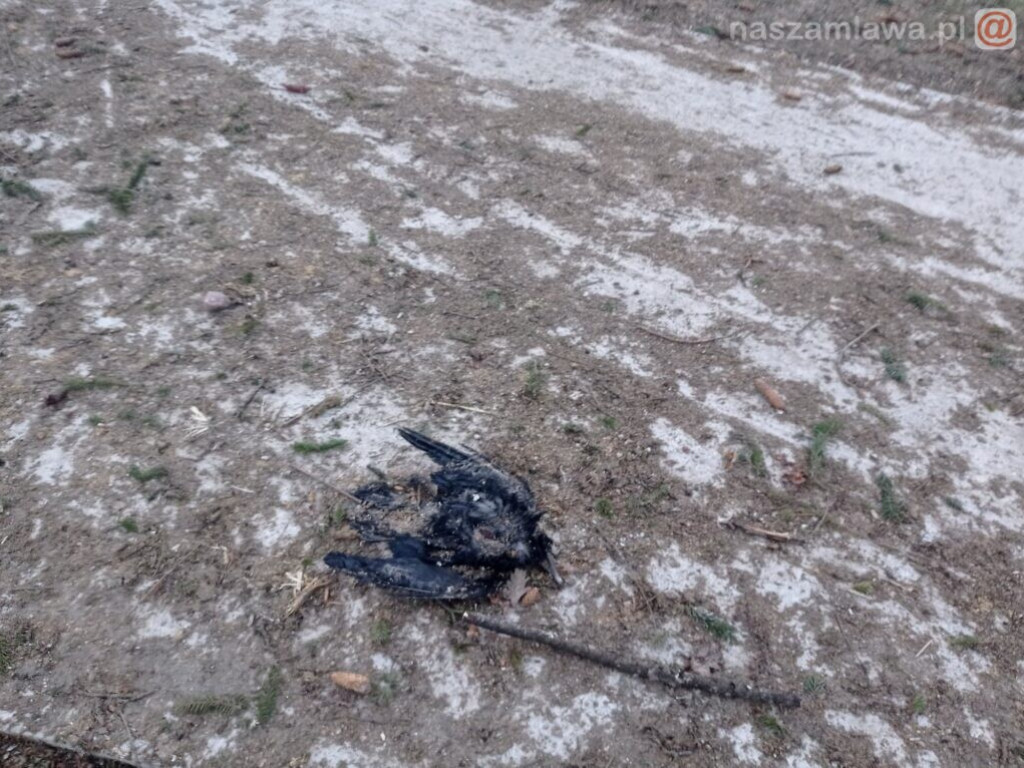 W takich warunkach bawią się dzieci [DRASTYCZNE ZDJĘCIA]