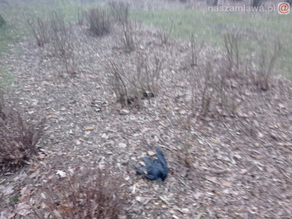 W takich warunkach bawią się dzieci [DRASTYCZNE ZDJĘCIA]