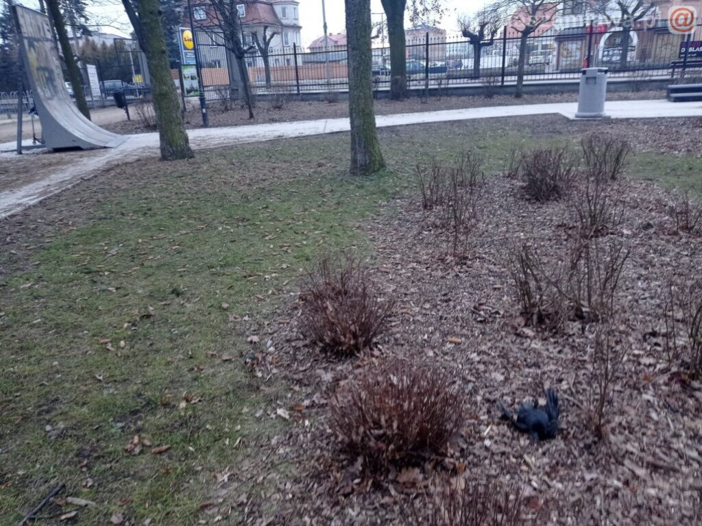 W takich warunkach bawią się dzieci [DRASTYCZNE ZDJĘCIA]