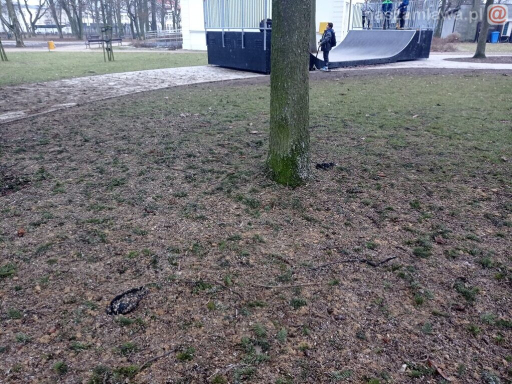 W takich warunkach bawią się dzieci [DRASTYCZNE ZDJĘCIA]