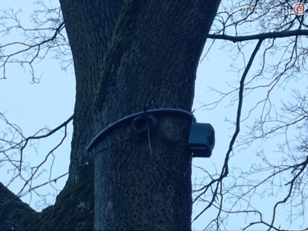 W takich warunkach bawią się dzieci [DRASTYCZNE ZDJĘCIA]