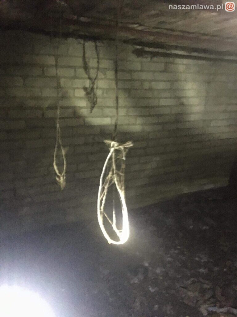 Makabryczny widok pod Warszawą. DRASTYCZNE ZDJĘCIA!