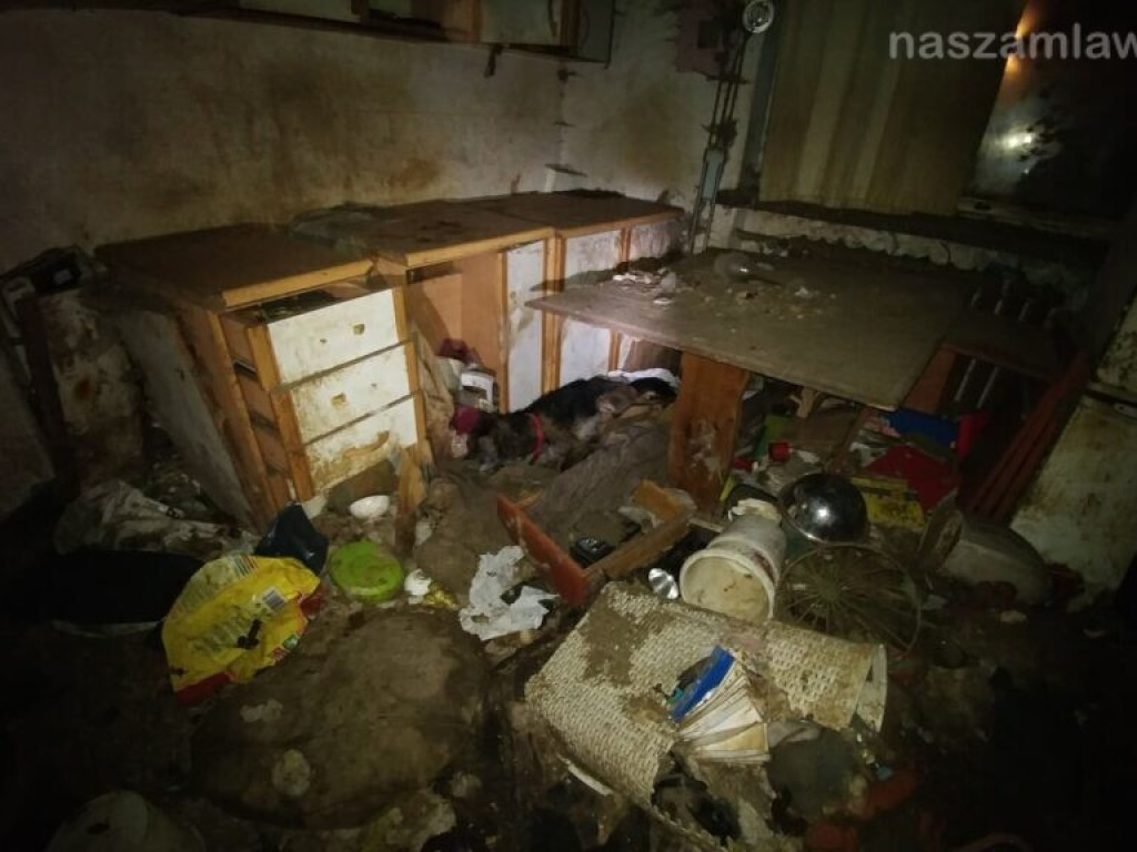 Makabryczny widok pod Warszawą. DRASTYCZNE ZDJĘCIA!