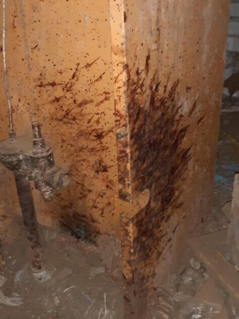 Makabryczny widok pod Warszawą. DRASTYCZNE ZDJĘCIA!