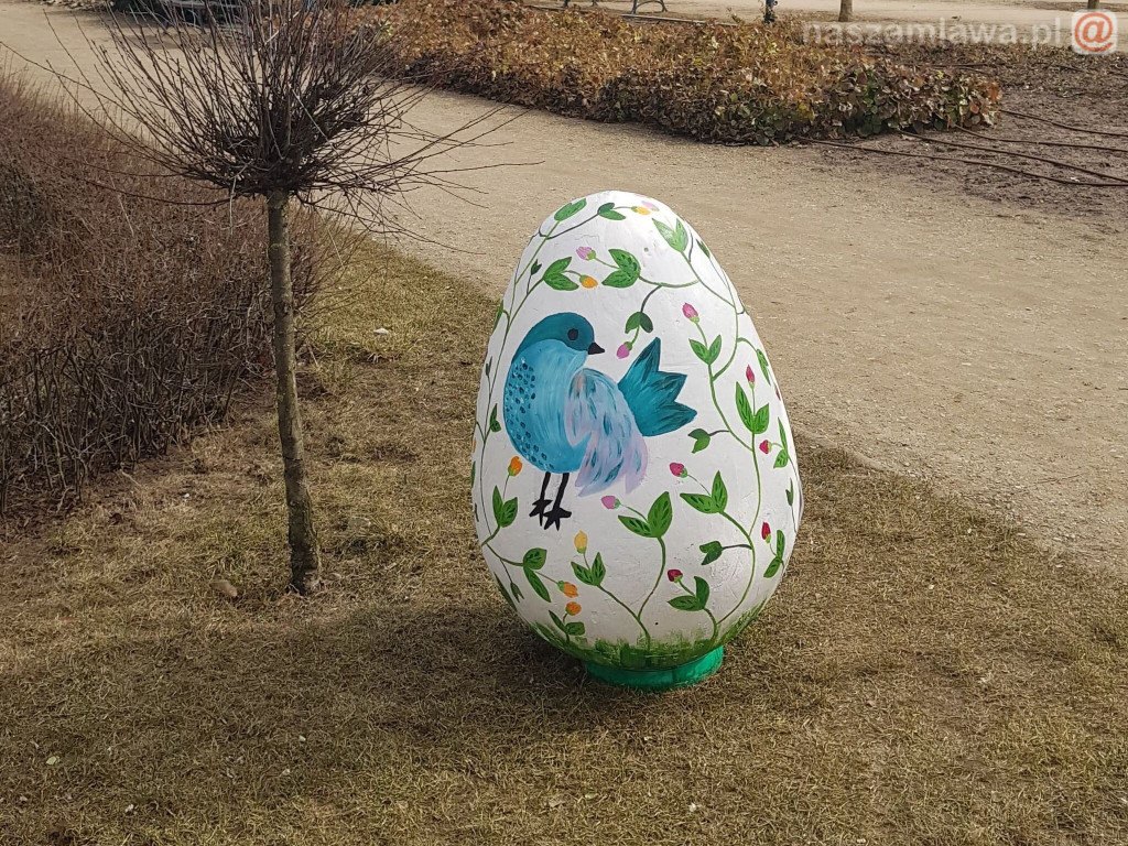 Każdy powinien to zobaczyć [ZDJĘCIA]