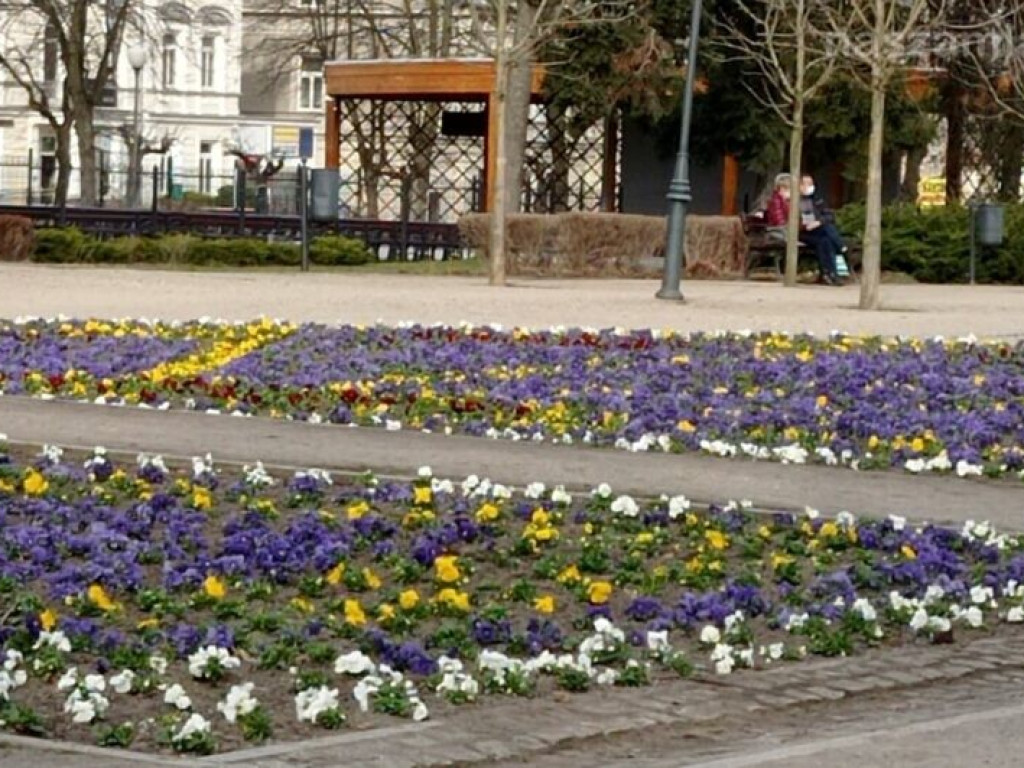 Mławianie masowo korzystali z wiosennej niedzieli [ZDJĘCIA]