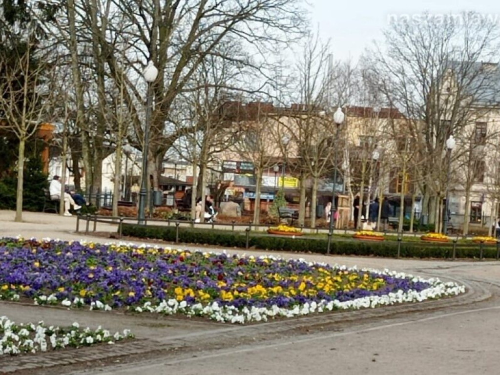 Mławianie masowo korzystali z wiosennej niedzieli [ZDJĘCIA]