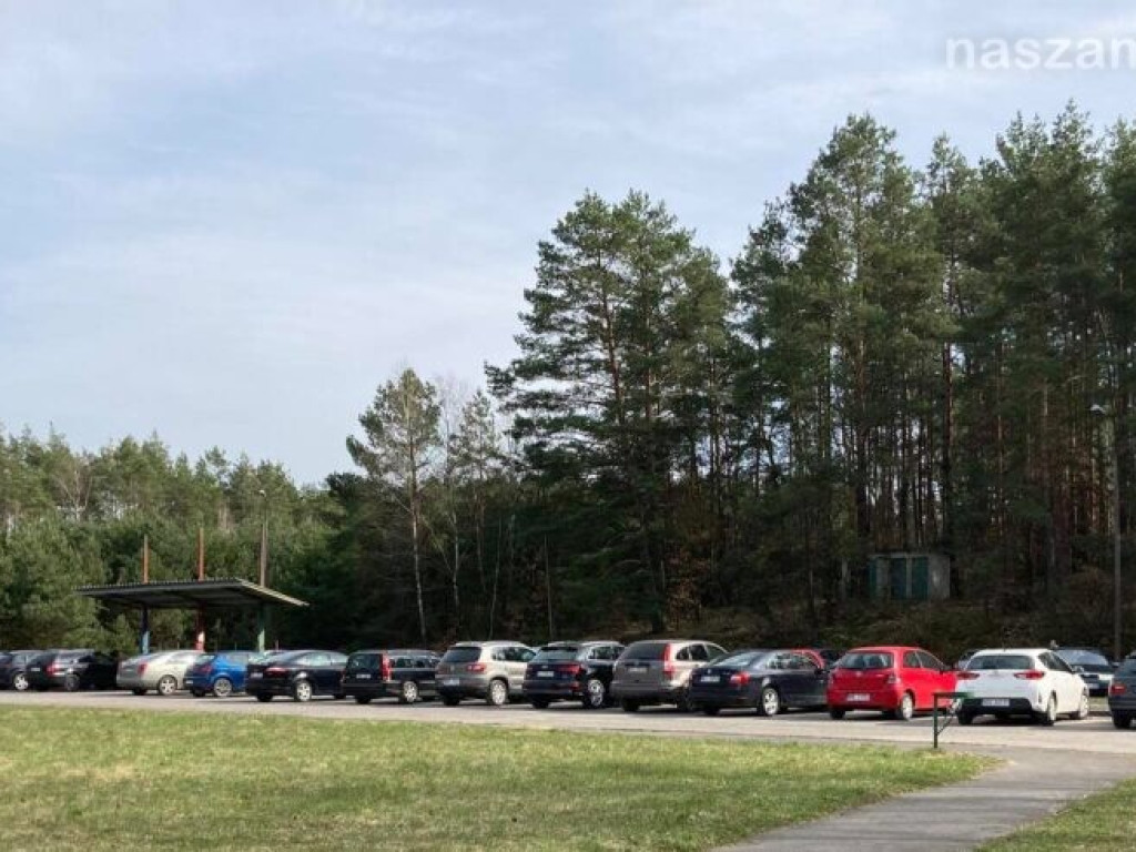 Mławianie masowo korzystali z wiosennej niedzieli [ZDJĘCIA]