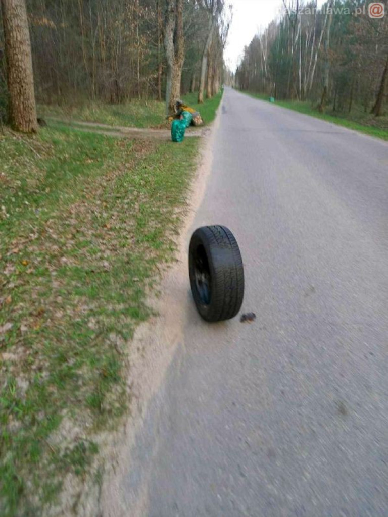 Tyle śmieci znaleźli w lesie. Znowu...