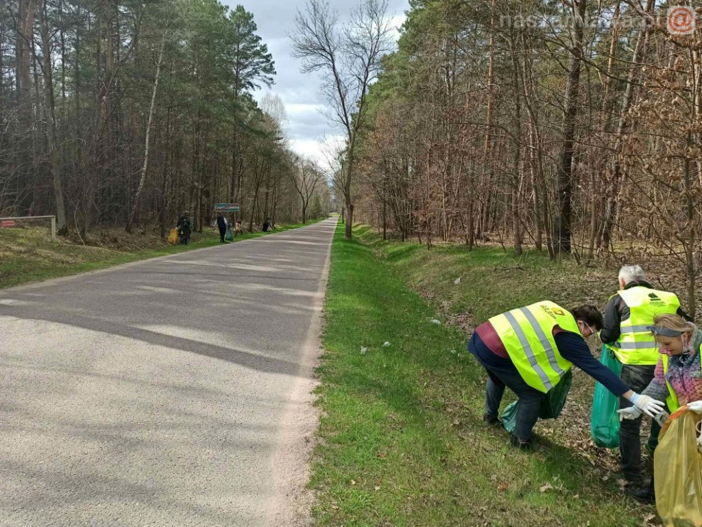 Tyle śmieci znaleźli w lesie. Znowu...