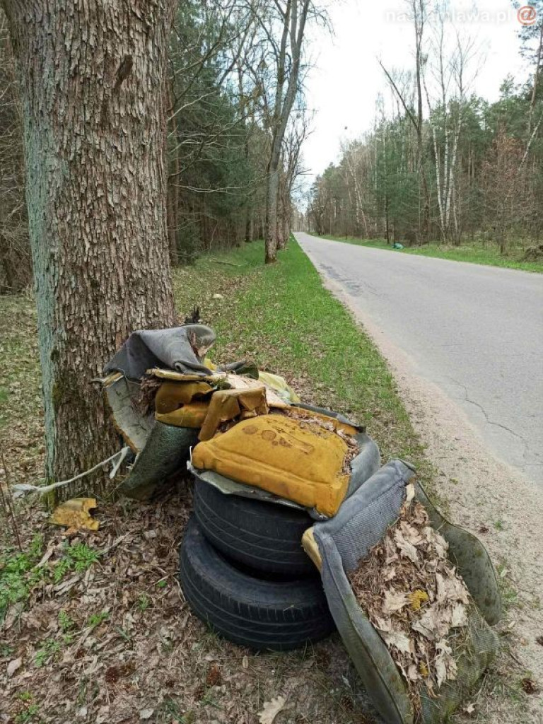 Tyle śmieci znaleźli w lesie. Znowu...