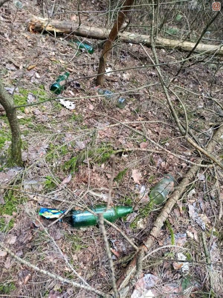 Tyle śmieci znaleźli w lesie. Znowu...