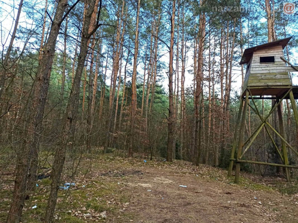 Tyle śmieci znaleźli w lesie. Znowu...