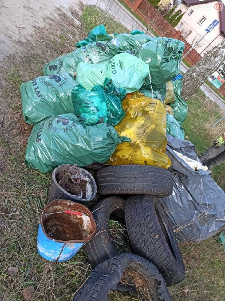 Tyle śmieci znaleźli w lesie. Znowu...