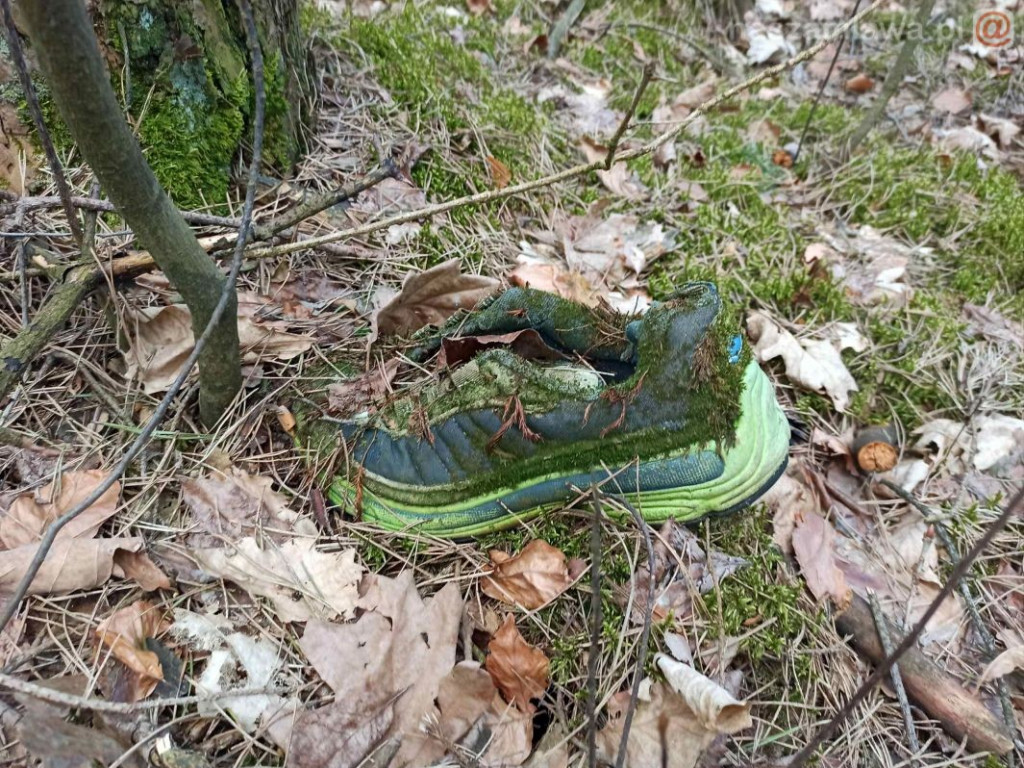 Tyle śmieci znaleźli w lesie. Znowu...