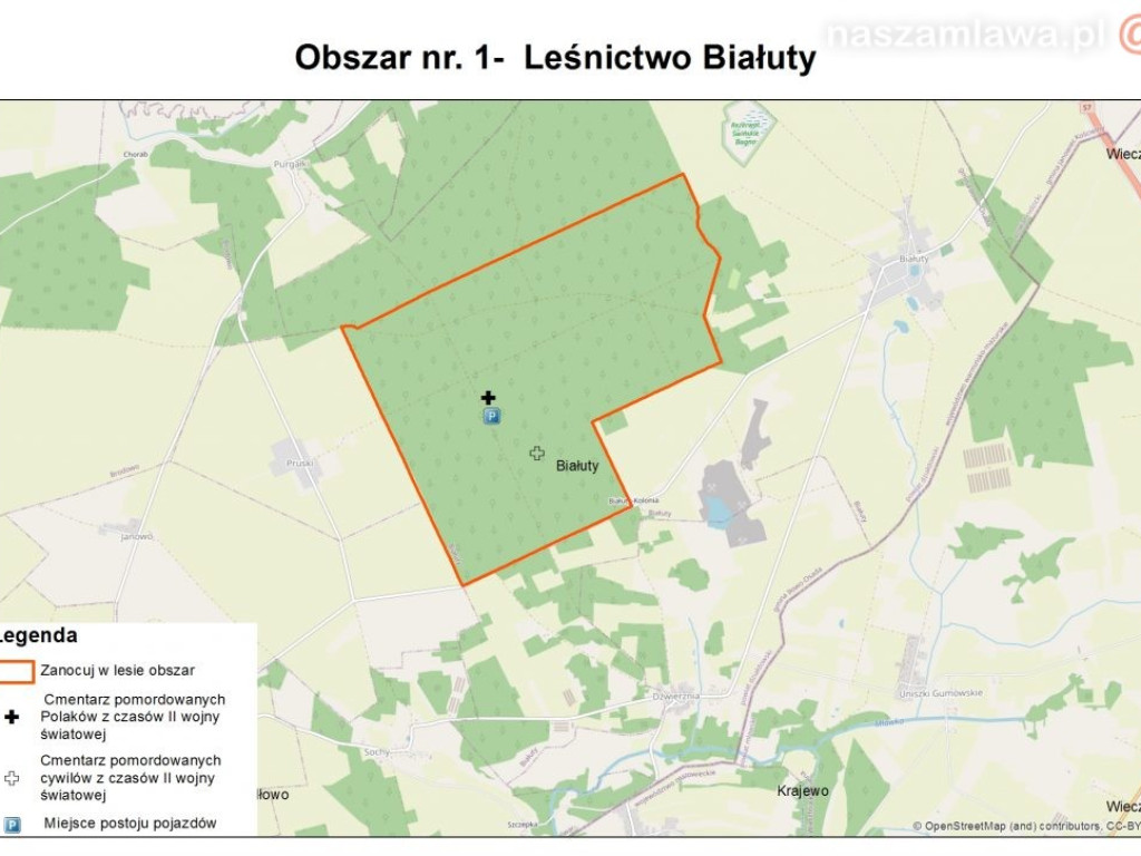 Majówka z noclegiem w lesie