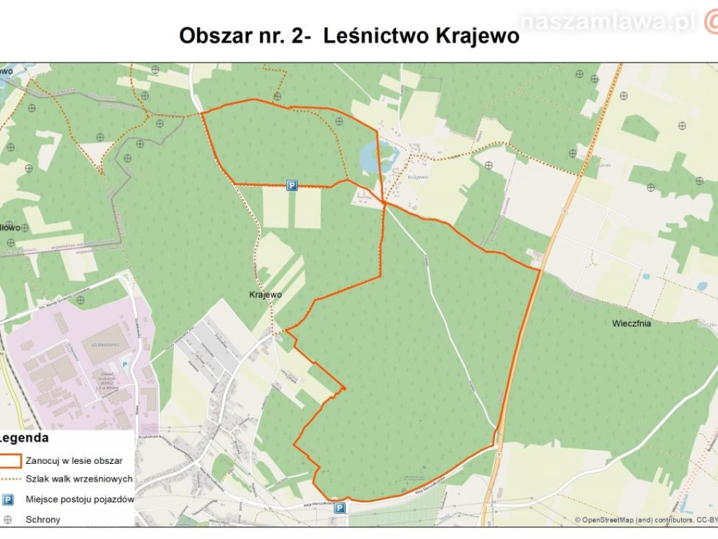 Majówka z noclegiem w lesie