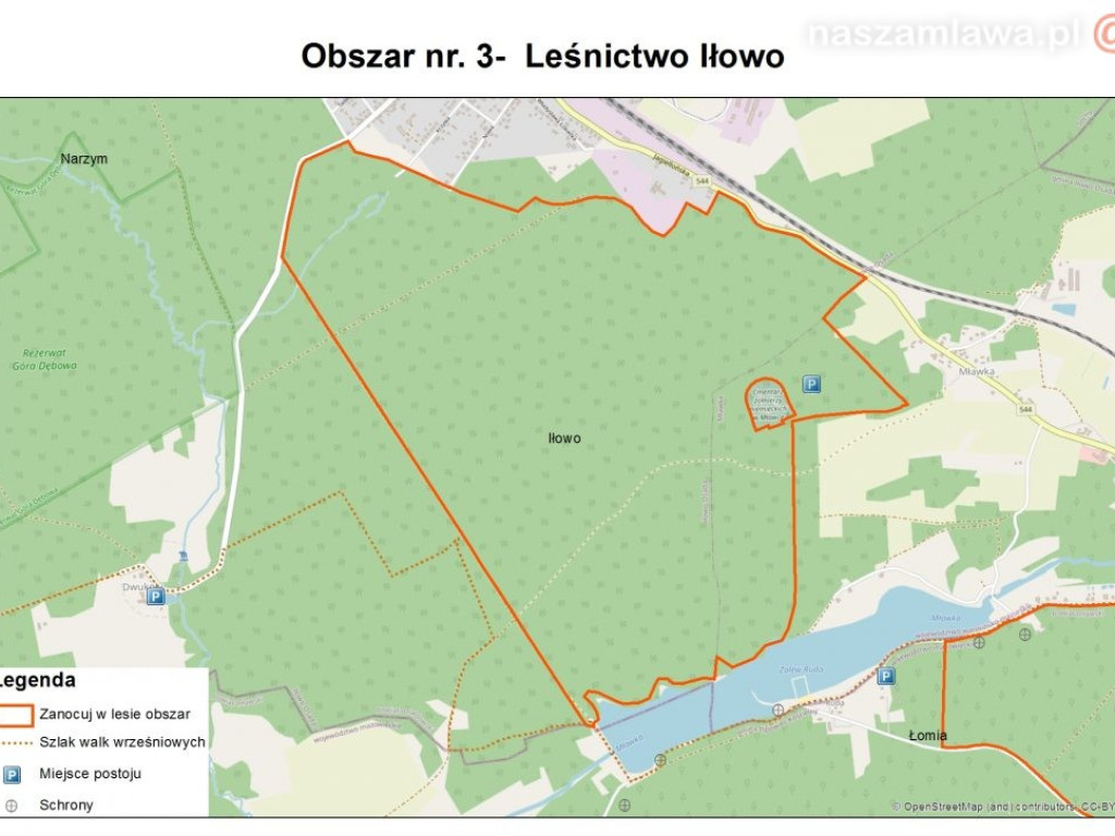 Majówka z noclegiem w lesie