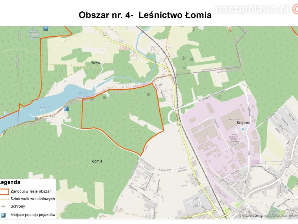 Majówka z noclegiem w lesie