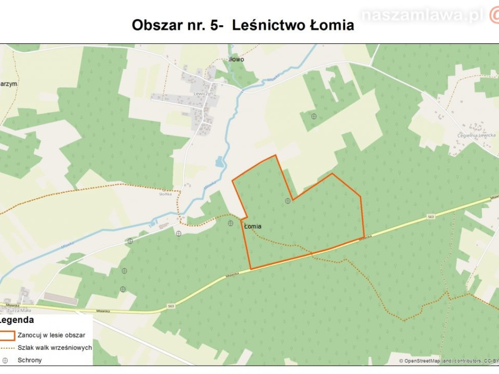 Majówka z noclegiem w lesie