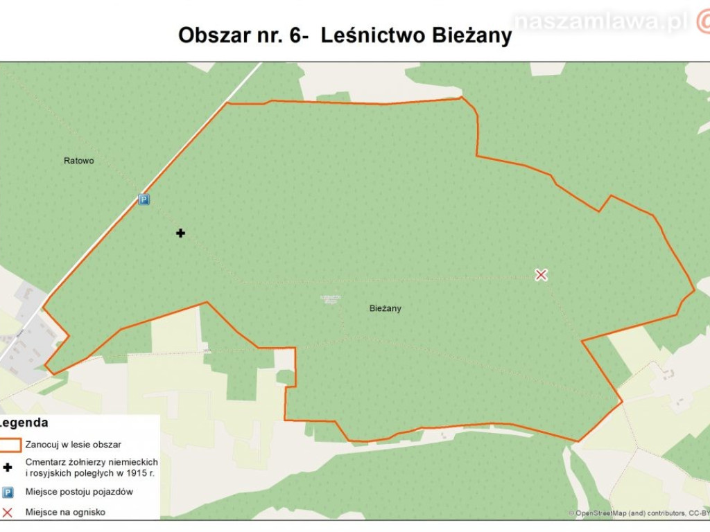 Majówka z noclegiem w lesie