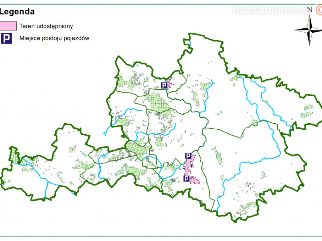 Majówka z noclegiem w lesie