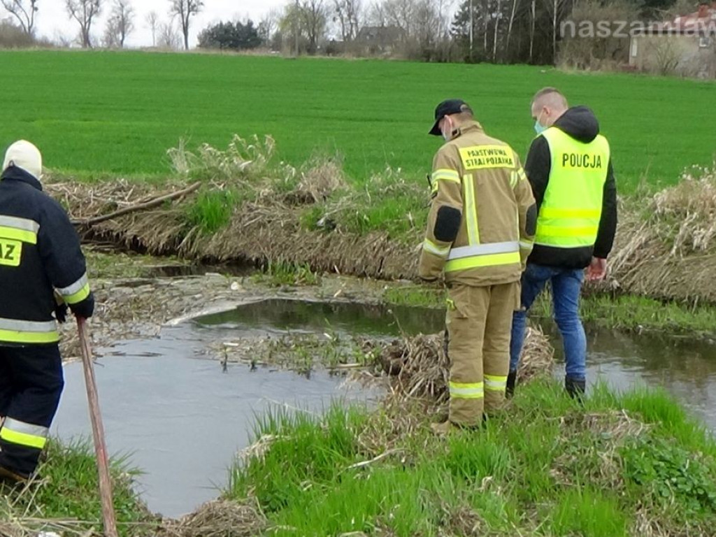 Poszukiwania 63-latka spod Przasnysza