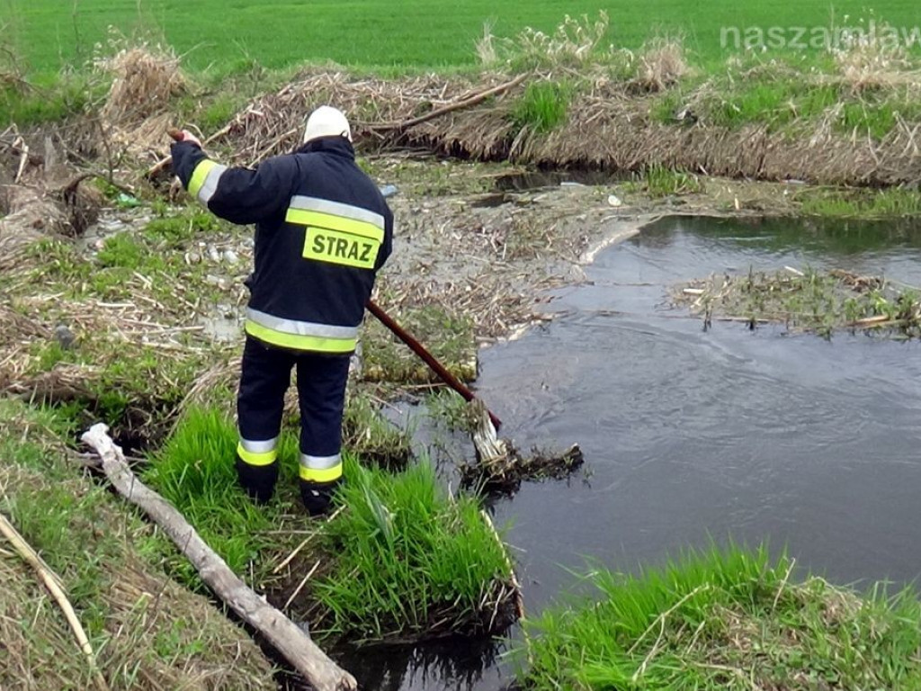 Poszukiwania 63-latka spod Przasnysza