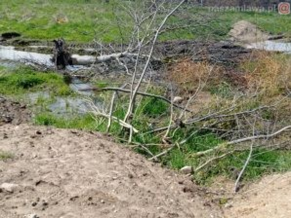 Jak budują Aleję Św. Wojciecha?