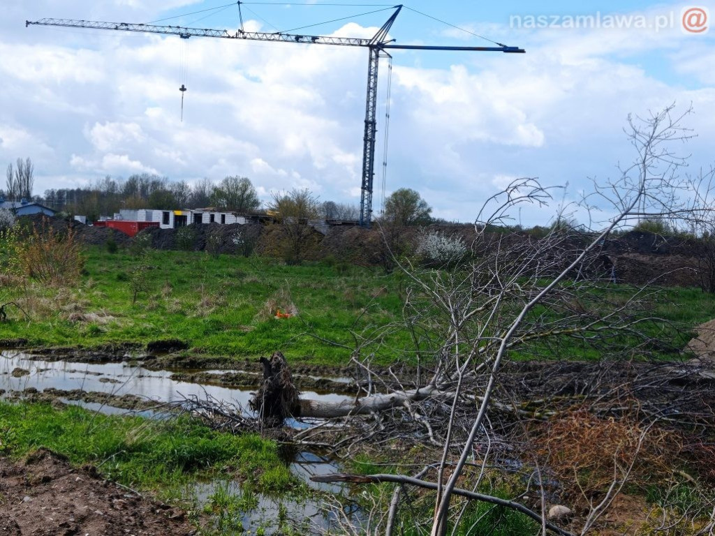 Jak budują Aleję Św. Wojciecha?
