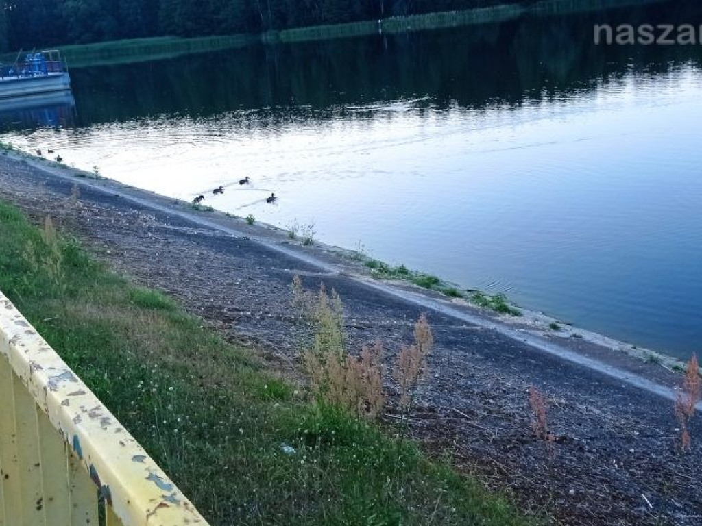 Takie klimaty nad zalewem Ruda [ZDJĘCIA]