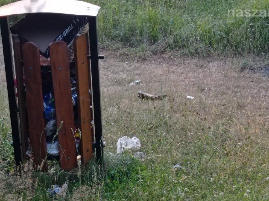 Takie klimaty nad zalewem Ruda [ZDJĘCIA]