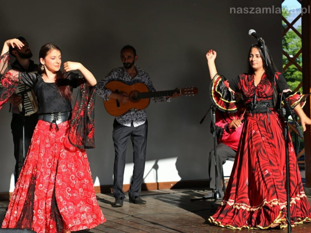 Mławianie na koncercie w parku [ZDJĘCIA]