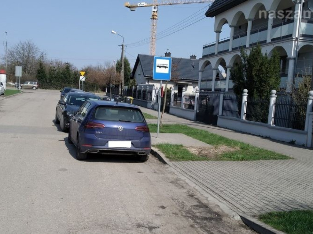 Mistrzowie parkowania w akcji