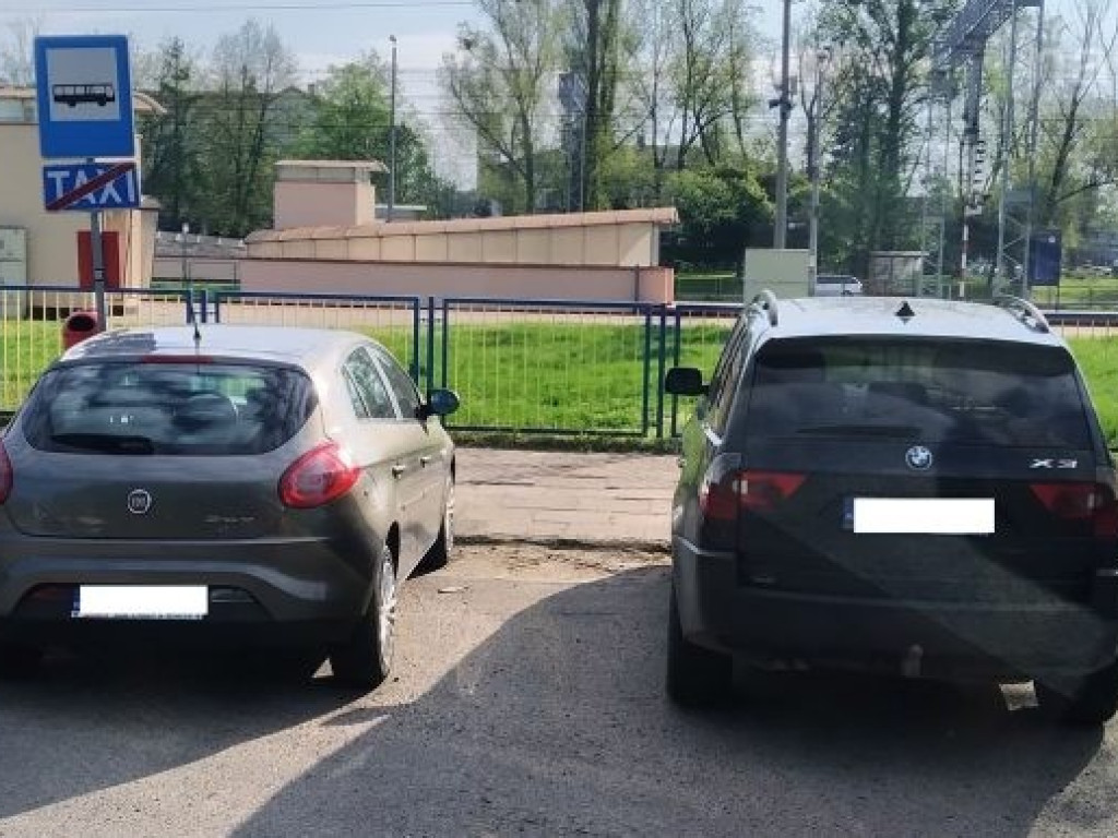 Mistrzowie parkowania w akcji