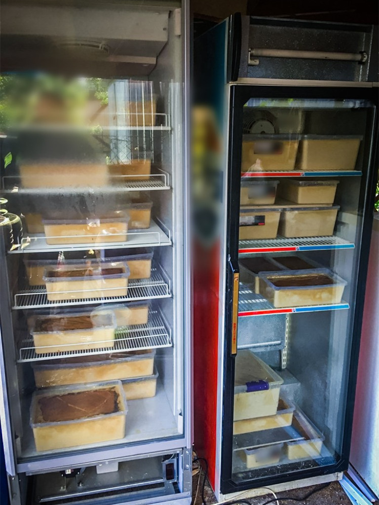 CBŚP przejęło gigantyczną ilość psychotropów [FILM]