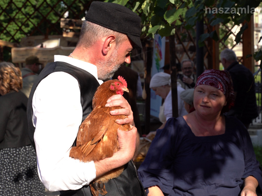 Mława, jak za dawnych lat [ZDJĘCIA]
