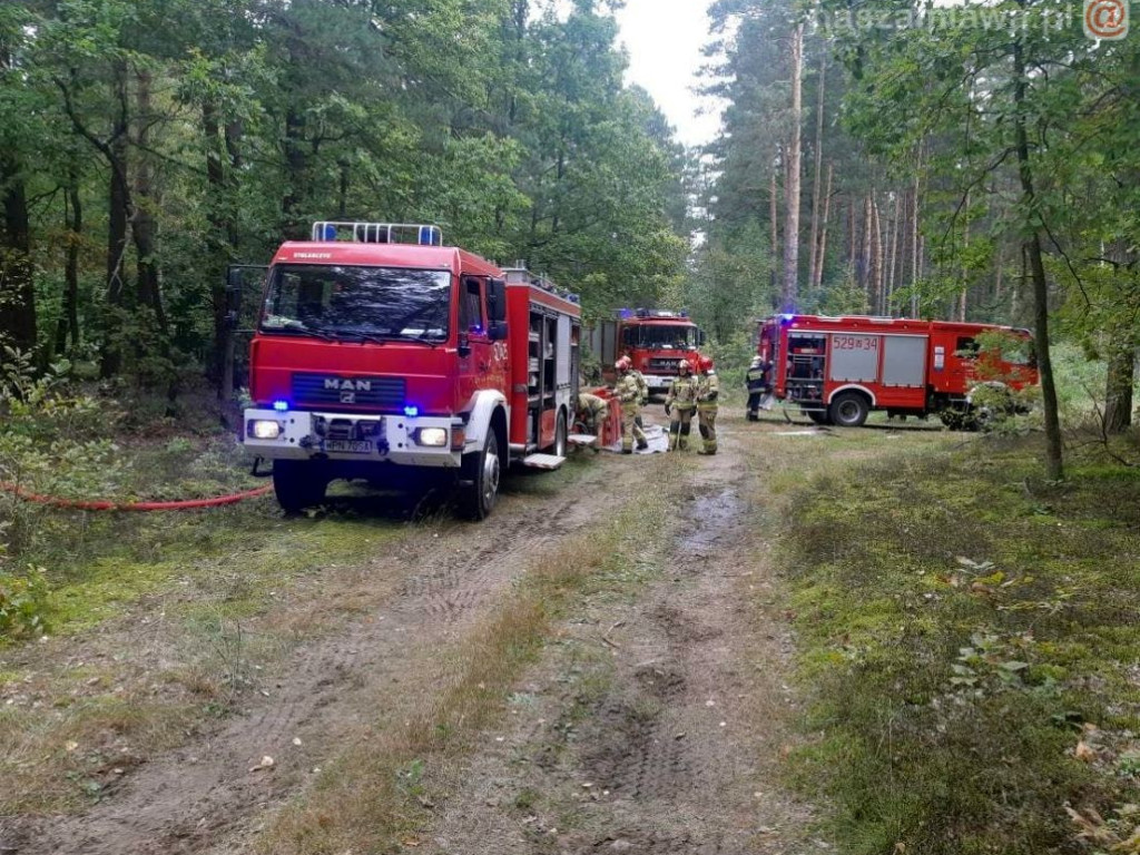 95 strażaków w akcji [ZDJĘCIA]