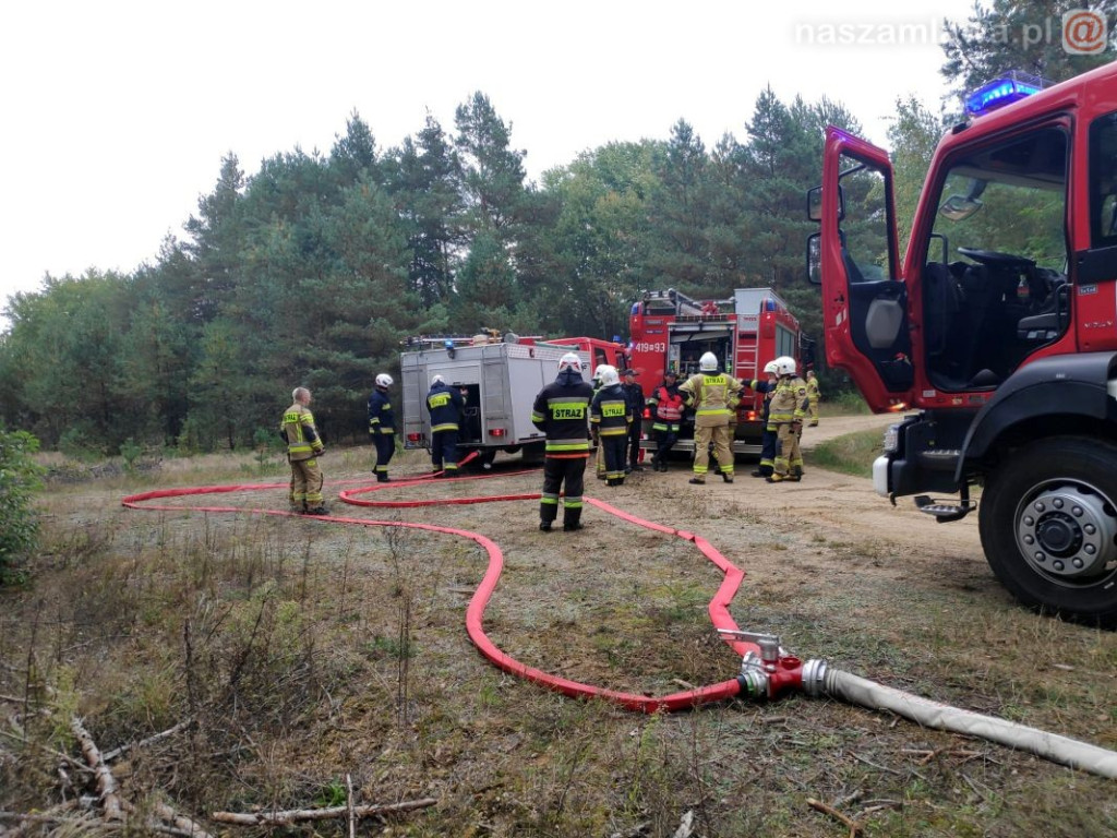 95 strażaków w akcji [ZDJĘCIA]