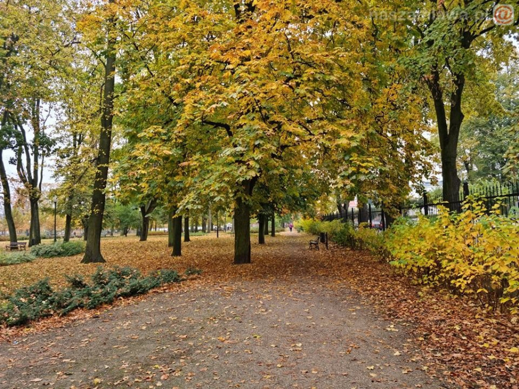 Takie klimaty w Mławie (ZDJĘCIA)