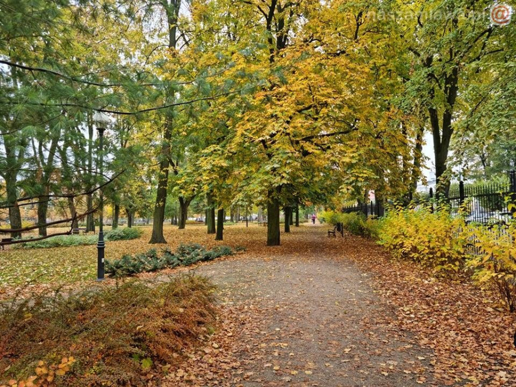 Takie klimaty w Mławie (ZDJĘCIA)