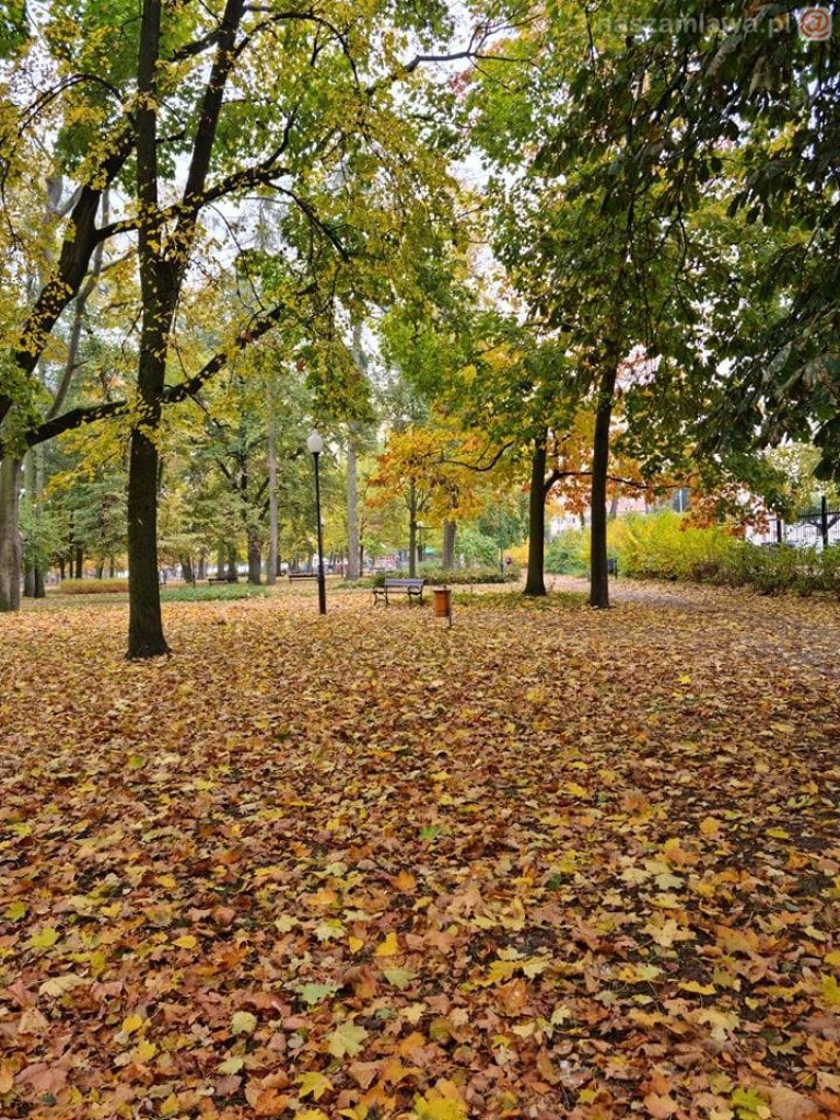 Takie klimaty w Mławie (ZDJĘCIA)