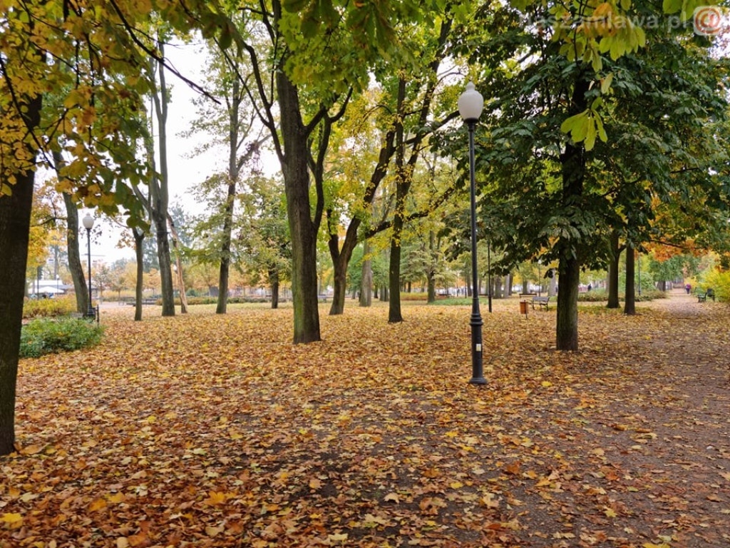 Takie klimaty w Mławie (ZDJĘCIA)