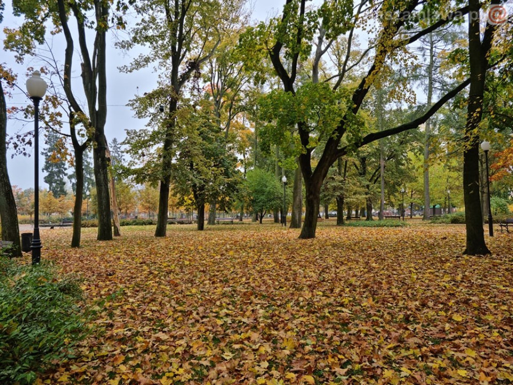 Takie klimaty w Mławie (ZDJĘCIA)