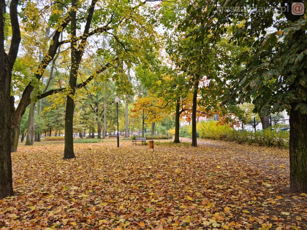 Takie klimaty w Mławie (ZDJĘCIA)