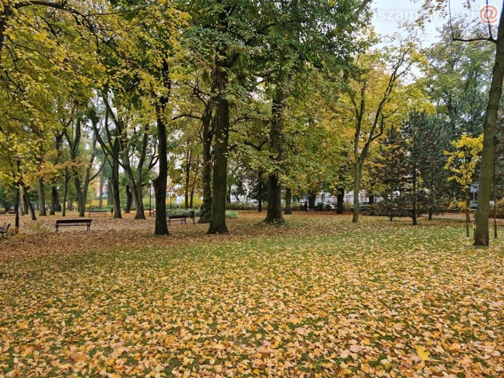 Takie klimaty w Mławie (ZDJĘCIA)